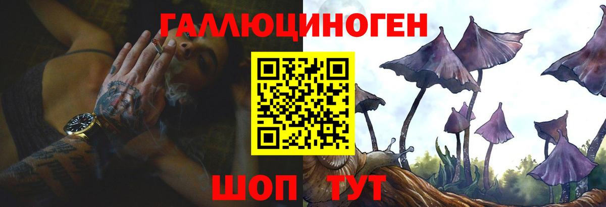 Галлюциногенные грибы Cubensis Иваново