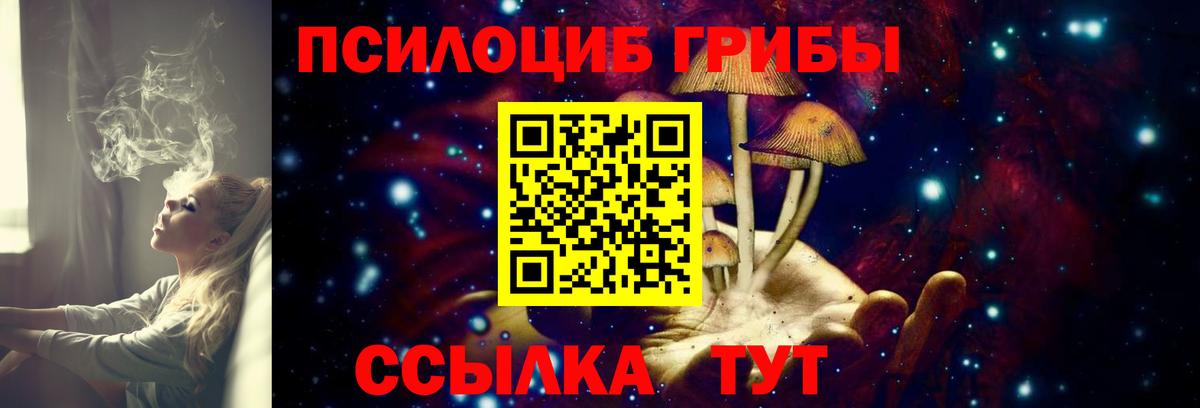 дарнет шоп  Вход с VPN  Иваново  Псилоцибиновые грибы Psilocybe 